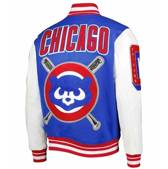 chicago bulls jacket blue